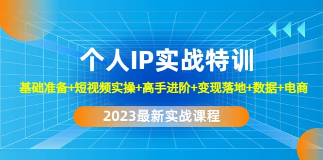 2023个人IP实战特训：基础准备 短视频实操 高手进阶 变现落地 数据 电商-先锋思维