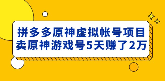 外面卖2980的拼多多原神虚拟帐号项目-先锋思维