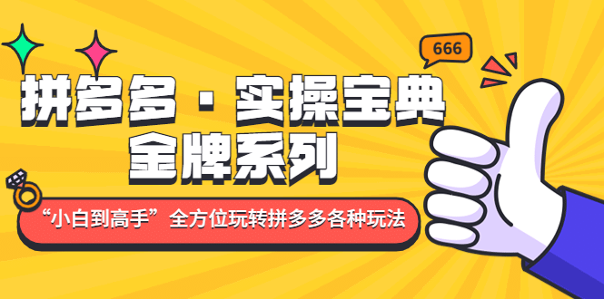 拼多多·实操宝典：金牌系列“小白到高手”带你全方位玩转拼多多各种玩法-先锋思维