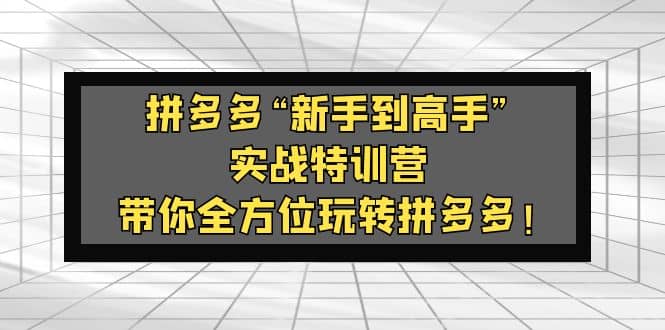 拼多多“新手到高手”实战特训营：带你全方位玩转拼多多-先锋思维