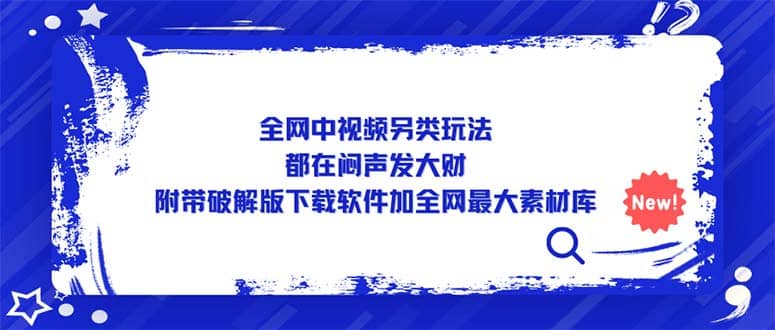 全网中视频另类玩法，都在闷声发大财，附带下载软件加全网最大素材库-先锋思维