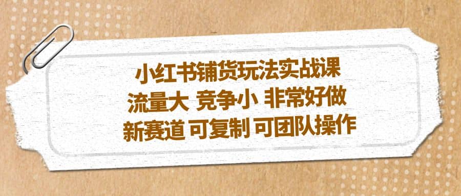 小红书铺货玩法实战课，流量大 竞争小 非常好做 新赛道 可复制 可团队操作-先锋思维