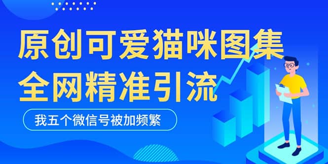 黑科技纯原创可爱猫咪图片，全网精准引流，实操5个VX号被加频繁-先锋思维