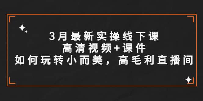 3月最新实操线下课高清视频 课件，如何玩转小而美，高毛利直播间-先锋思维