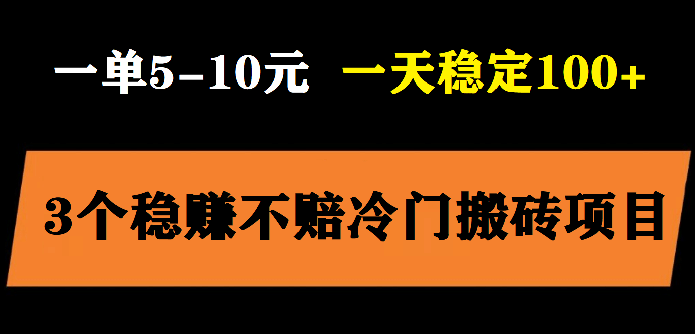 3个最新稳定的冷门搬砖项目，小白无脑照抄当日变现日入过百-先锋思维