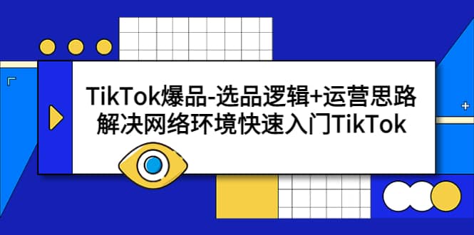 TikTok爆品-选品逻辑 运营思路：解决网络环境快速入门TikTok-先锋思维