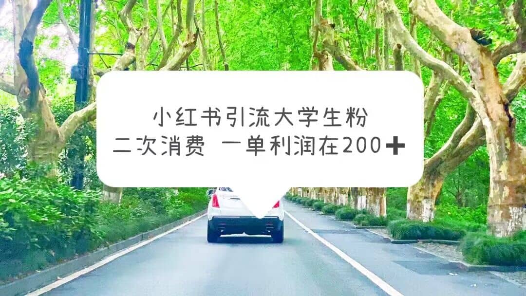 小红书引流大学生粉，变现项目，一单利润在200 （教程 资源）-先锋思维