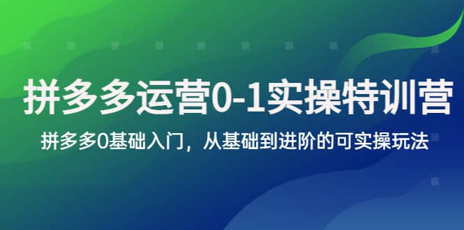 拼多多-运营0-1实操训练营，拼多多0基础入门，从基础到进阶的可实操玩法-先锋思维