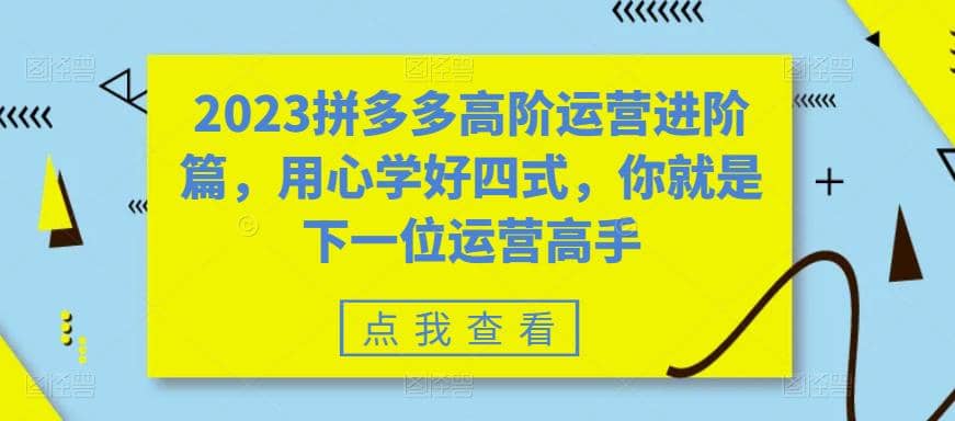 2023拼多多高阶运营进阶篇，用心学好四式，你就是下一位运营高手-先锋思维