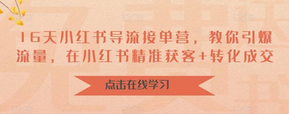 16天-小红书 导流接单营，教你引爆流量，在小红书精准获客 转化成交-先锋思维