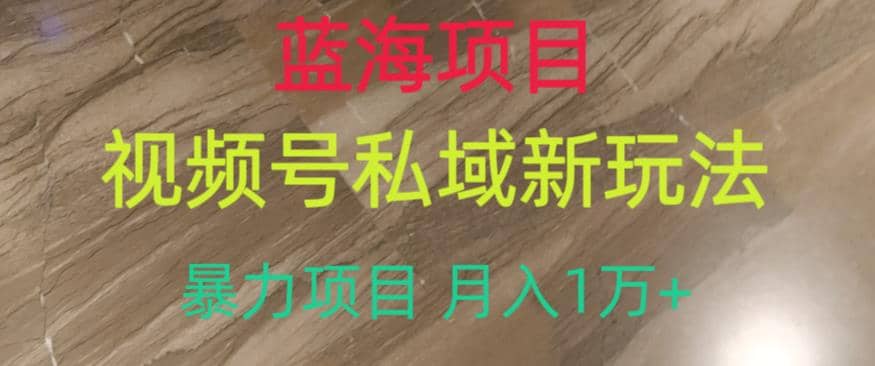 蓝海项目，视频号私域新玩法，暴力项目月入1万 【揭秘】-先锋思维