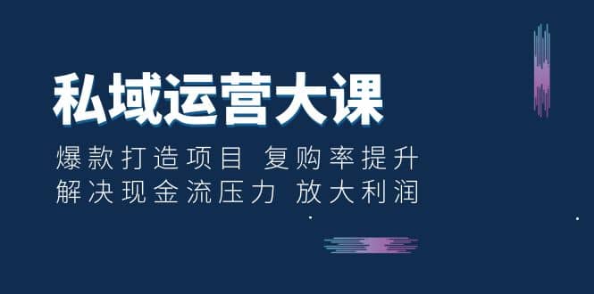 私域运营大课：爆款打造项目 复购率提升 解决现金流压力 放大利润-先锋思维