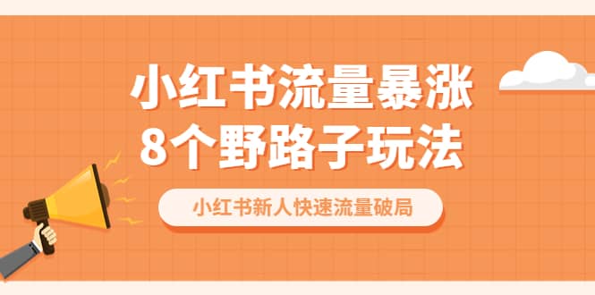 小红书流量-暴涨8个野路子玩法：小红书新人快速流量破局（8节课）-先锋思维