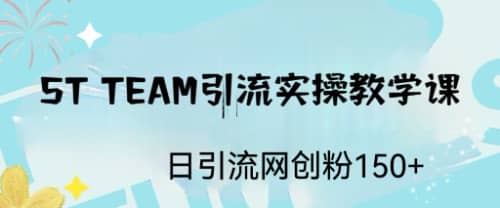 ST TEAM引流实操课，日引流网创粉100-先锋思维