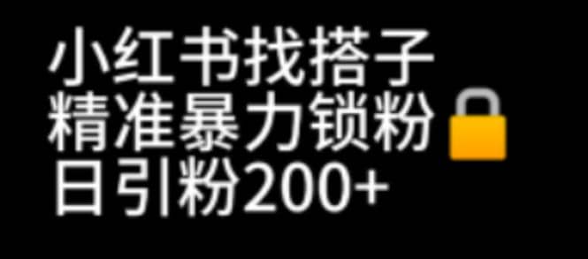 小红书找搭子暴力精准锁粉 引流日引200 精准粉-先锋思维