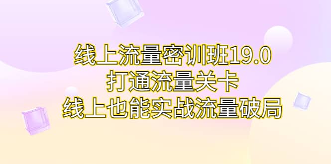 线上流量密训班19.0，打通流量关卡，线上也能实战流量破局-先锋思维