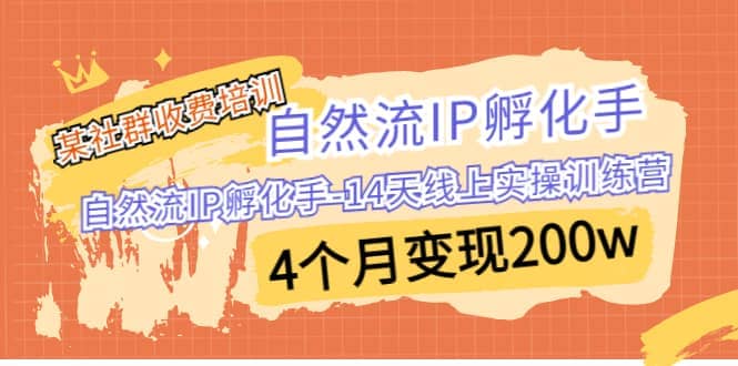 某社群收费培训：自然流IP 孵化手-14天线上实操训练营 4个月变现200w-先锋思维