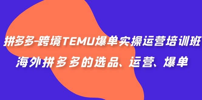 拼多多-跨境TEMU爆单实操运营培训班，海外拼多多的选品、运营、爆单-先锋思维