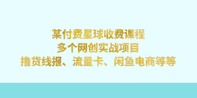 某付费星球课程：多个网创实战项目，撸货线报、流量卡、闲鱼电商等等-先锋思维