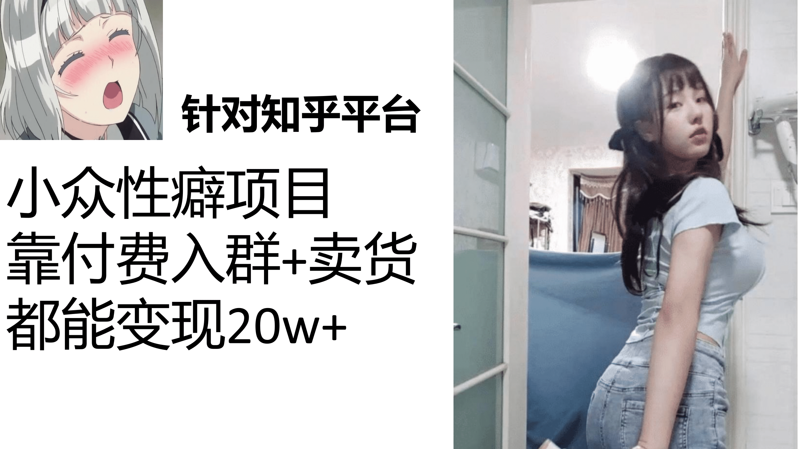 知乎小众性癖项目，Lsp的钱才是最好赚的，付费建群 卖货变现20w-先锋思维