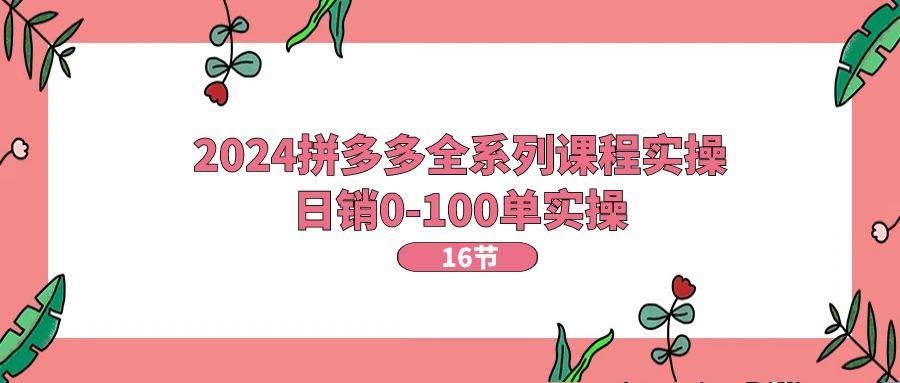 2024拼多多全系列课程实操，日销0-100单实操【16节课】-先锋思维