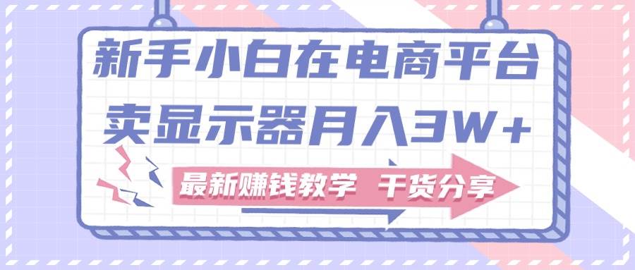 新手小白如何做到在电商平台卖显示器月入3W+，最新赚钱教学干货分享-先锋思维