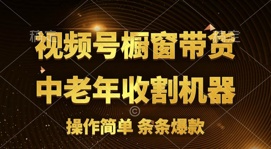 [你的孩子成功取得高位]视频号最火爆赛道，橱窗带货，流量分成计划，条…-先锋思维