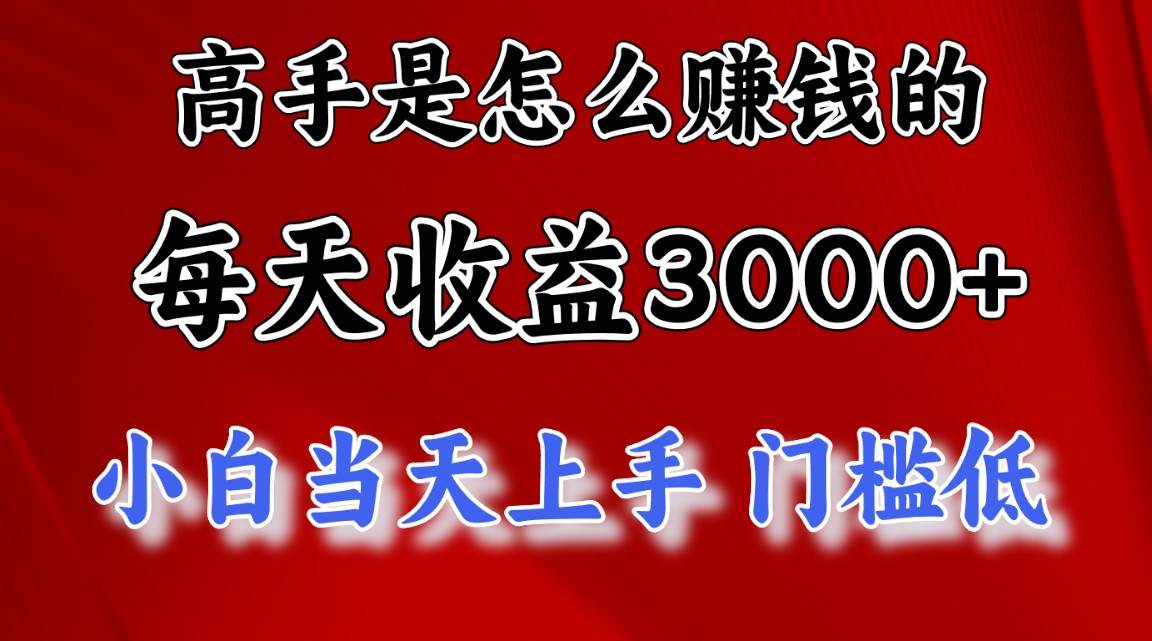 高手是怎么赚钱的，一天收益3000+ 这是穷人逆风翻盘的一个项目，非常…-先锋思维