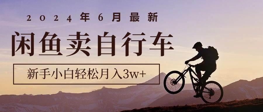 2024年6月最新闲鱼卖自行车，新手小白轻松月入3w+项目-先锋思维