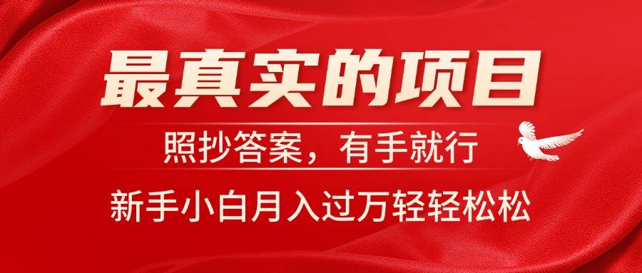 最真实的项目，照抄答案，有手就行，新手小白月入过万轻轻松松-先锋思维