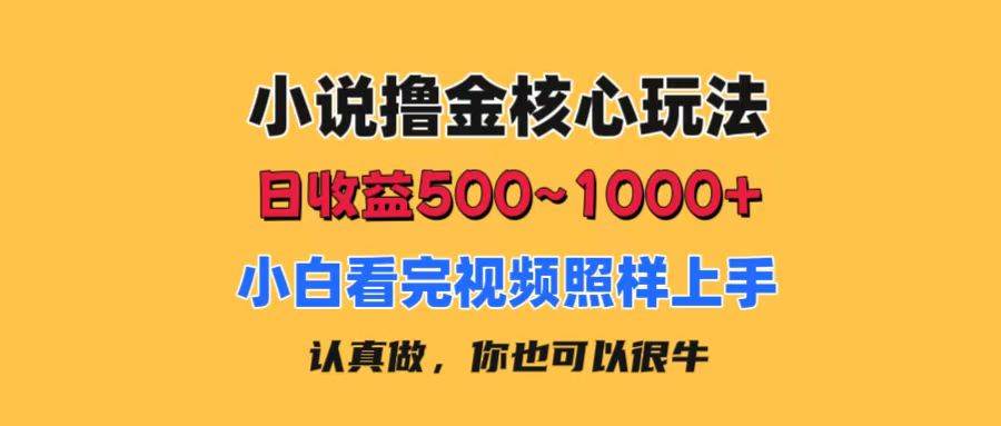 小说撸金核心玩法，日收益500-1000+，小白看完照样上手，0成本有手就行-先锋思维