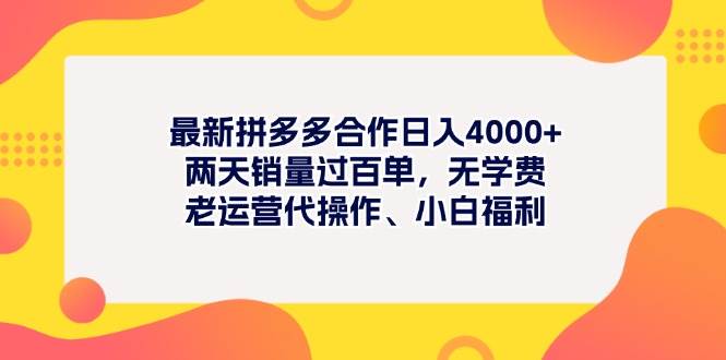 最新拼多多项目日入4000+两天销量过百单，无学费、老运营代操作、小白福利-先锋思维