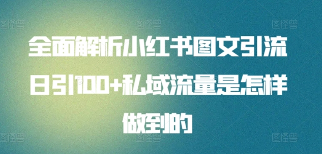 全面解析小红书图文引流日引100私域流量是怎样做到的-先锋思维