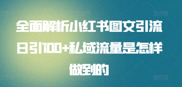 日引流100私域流量小红书图文是怎样做到的全面解析-先锋思维