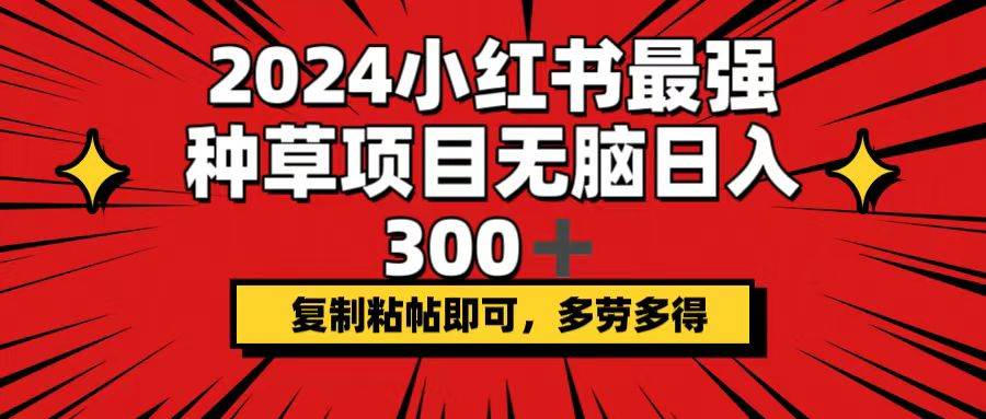 2024小红书最强种草项目，无脑日入300+，复制粘帖即可，多劳多得-先锋思维