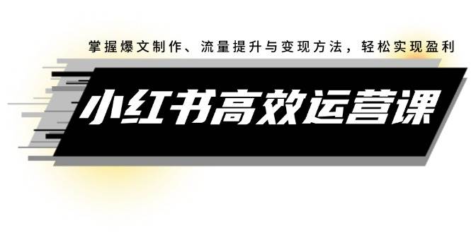 小红书高效运营课：掌握爆文制作、流量提升与变现方法，轻松实现盈利-先锋思维