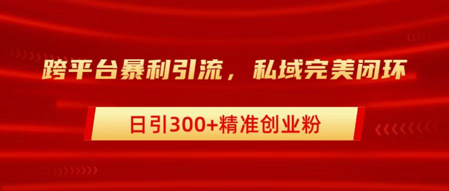 跨平台暴力引流，私域完美闭环，日引300+精准创业粉-先锋思维