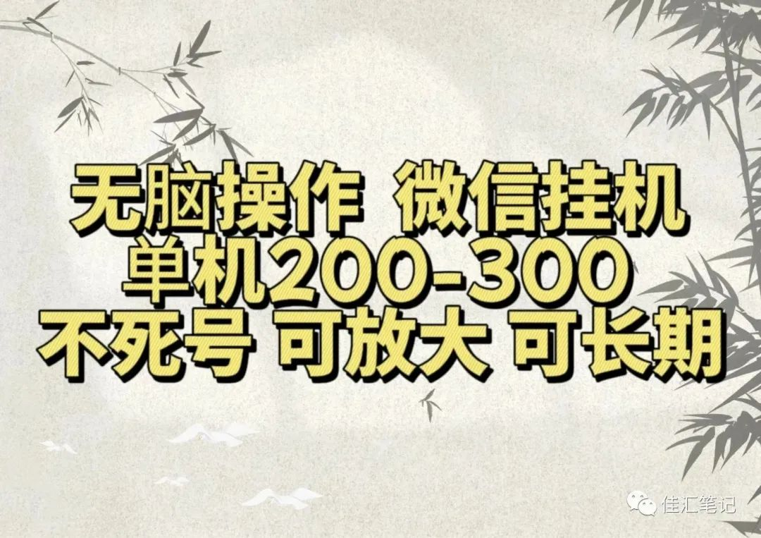 无脑操作微信视频号挂机单机200-300一天，不死号，可放大，工作室实测-先锋思维