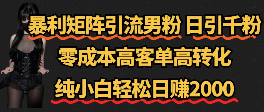 暴利矩阵引流男粉（日引千粉），零成本高客单高转化，纯小白轻松日赚2000+-先锋思维