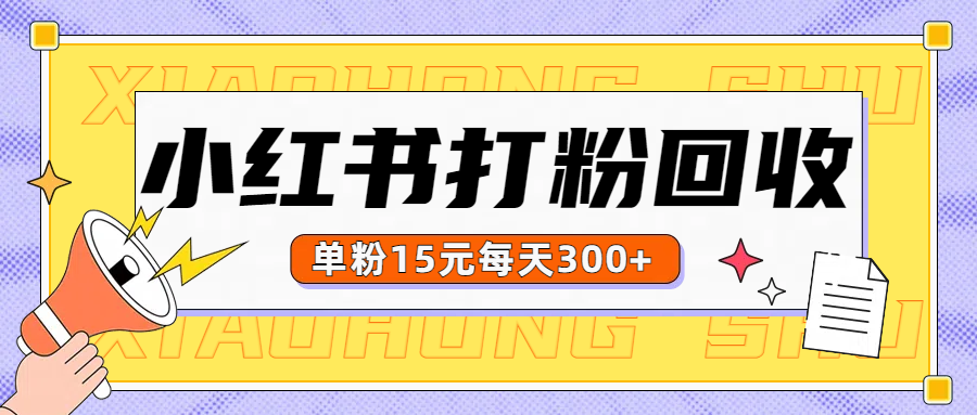 小红书打粉，单粉15元回收每天300+-先锋思维