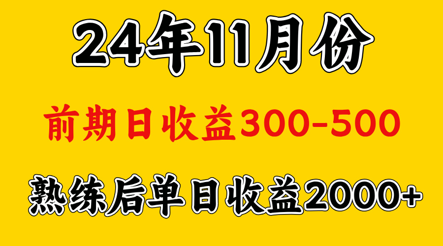 轻资产项目，前期日收益500左右，后期日收益1500-2000左右，多劳多得-先锋思维