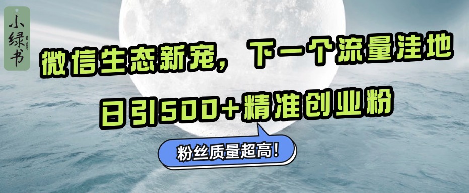 微信生态新宠小绿书：下一个流量洼地，粉丝质量超高，日引500+精准创业粉，-先锋思维