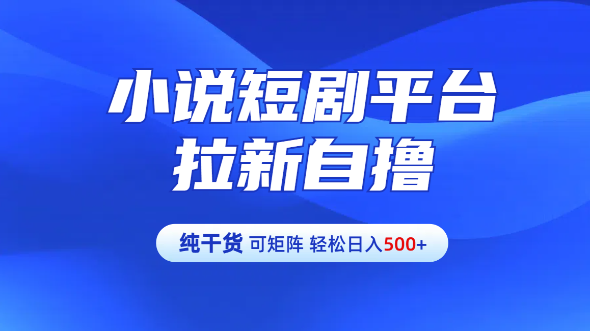 【纯干货】小说短剧平台拉新自撸玩法详解-单人轻松日入500+-先锋思维