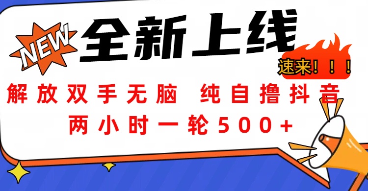 解放双手无脑 纯自撸抖音 两小时一轮500+-先锋思维