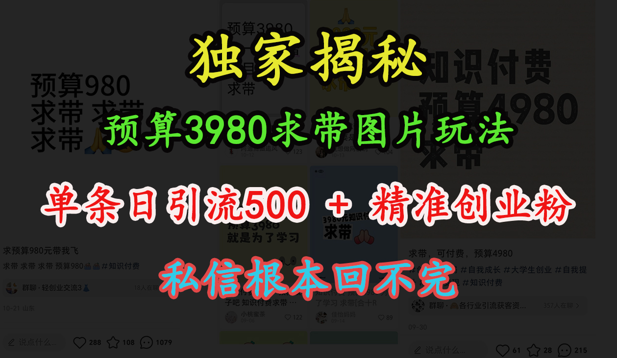 “小红书”预算3980求带 图片玩法，单条日引流500+精准创业粉，私信根本回不完-先锋思维