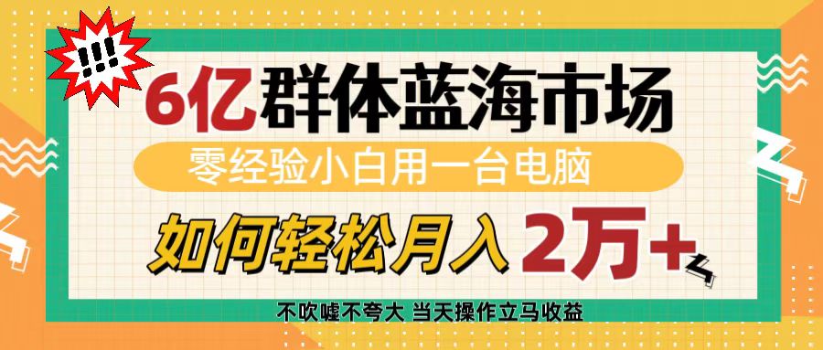 6亿群体蓝海市场，零经验小白用一台电脑，如何轻松月入2万+-先锋思维