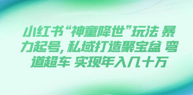 小红书“神童降世”玩法 暴力起号,私域打造聚宝盆 弯道超车 实现年入几十万-先锋思维