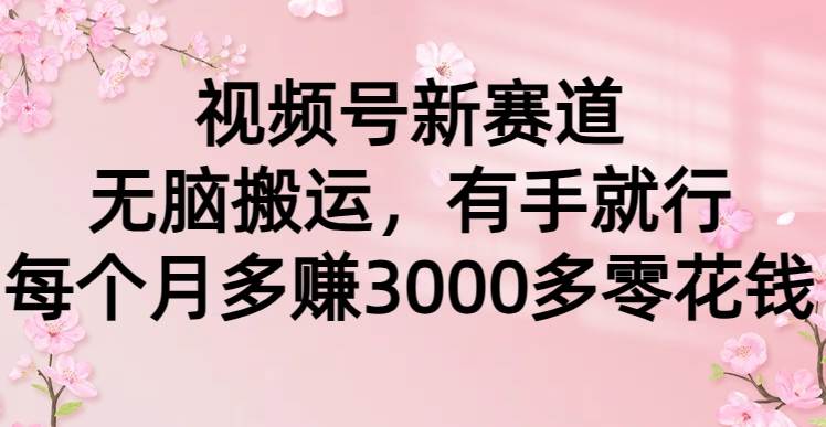 视频号新赛道，无脑搬运，有手就行，每个月多赚3000多零花钱-先锋思维