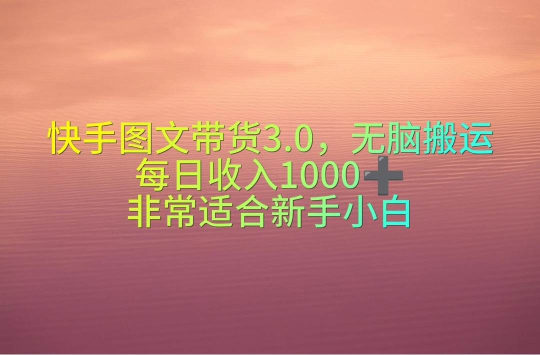 快手图文带货3.0，无脑搬运，每日收入1000＋，非常适合新手小白-先锋思维